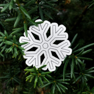 Gray snowflake on a green tree background